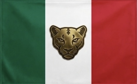 Bandera PEMC