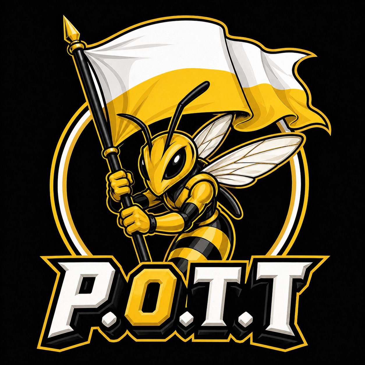 Bandera POTT